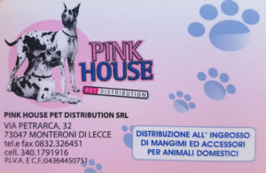 Ingrosso animali shop